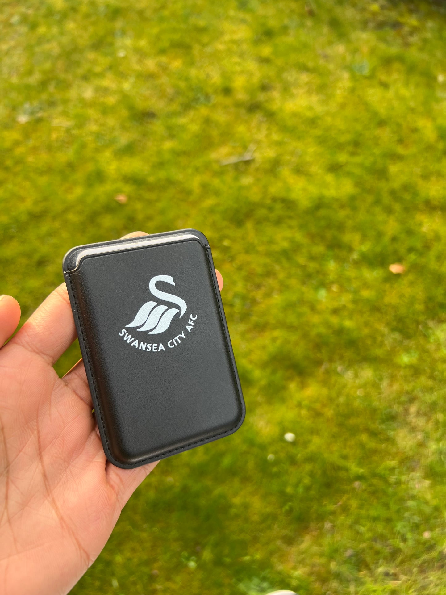 Swansea city