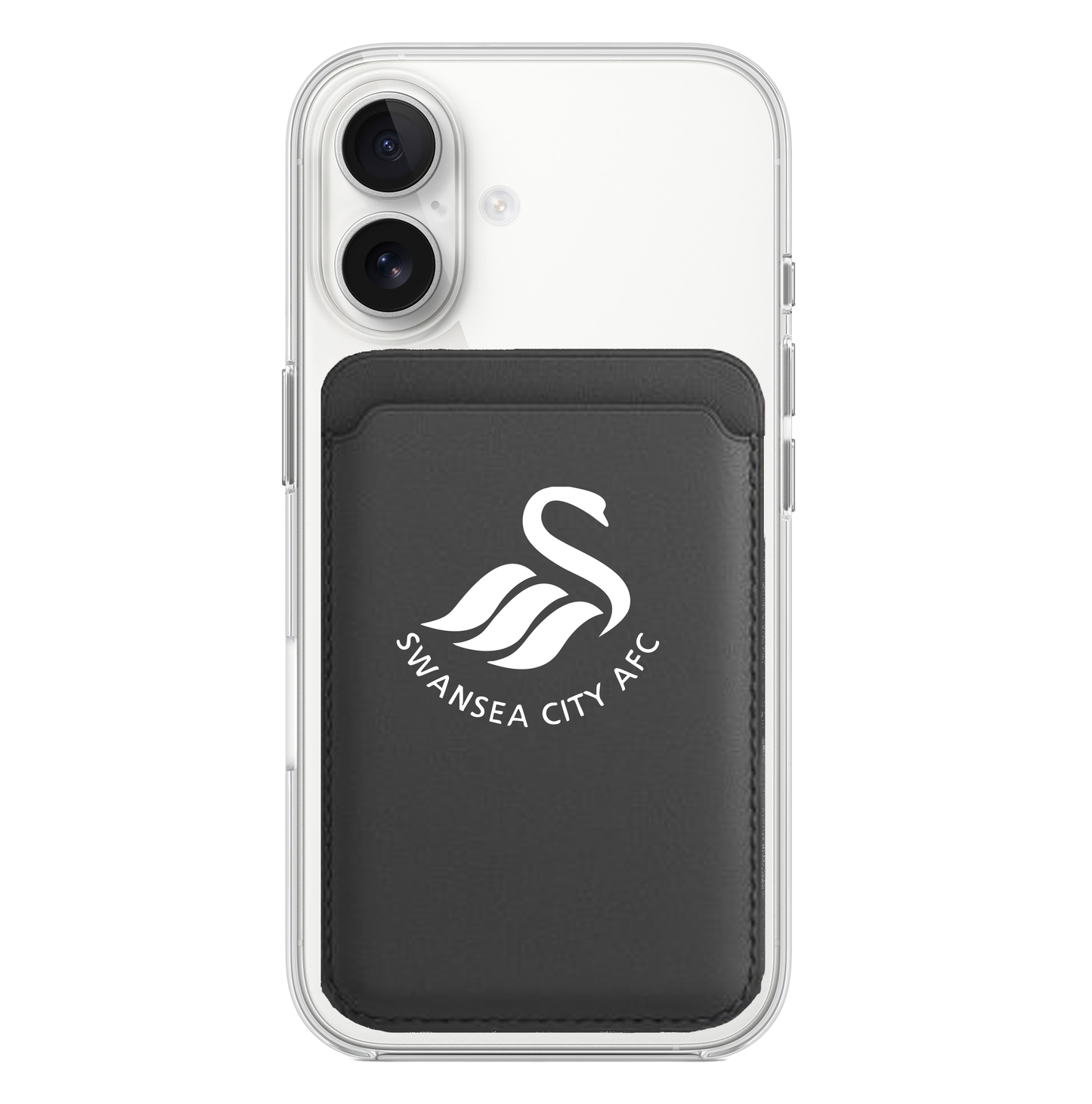 Swansea city